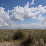 Dünenlandschaft am Ellenbogen