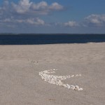 Strand am Sylter Ellenbogen