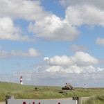 Naturschutzgebiet Sylter Ellenbogen