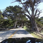 17-Mile-Drive