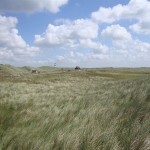 Dünenlandschaft am Sylter Ellenbogen